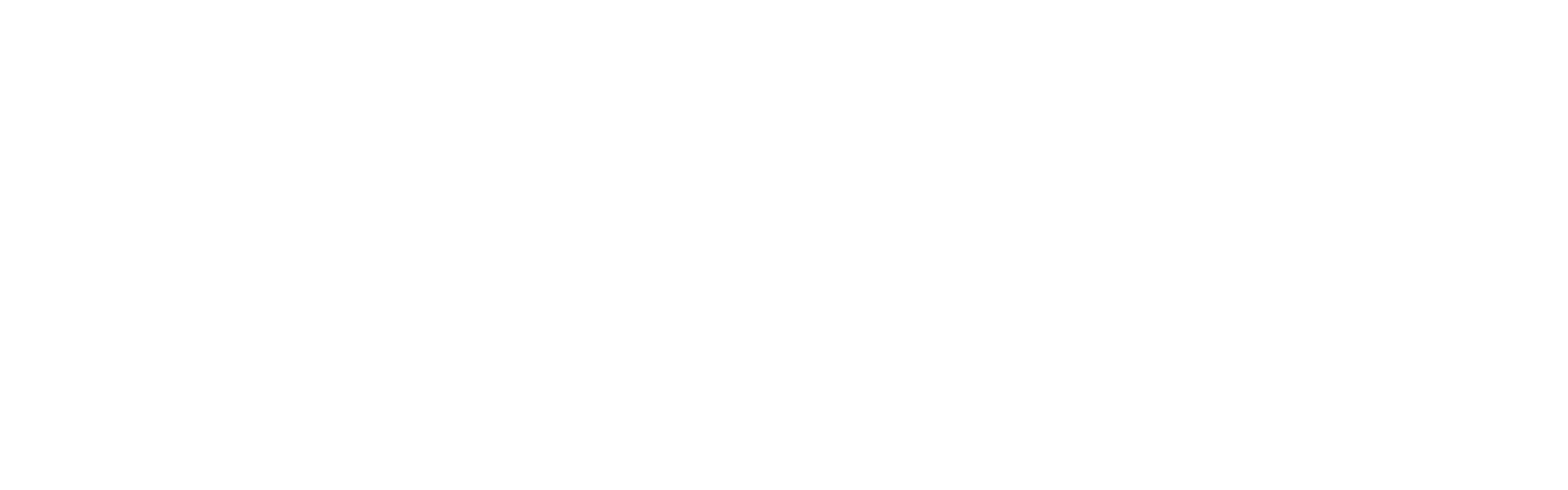 W Soluciones Uruguay - Logo footer - wsoluciones.com.uy